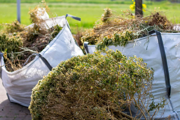 Best Recycling Services for Junk  in Kirkwood, MO